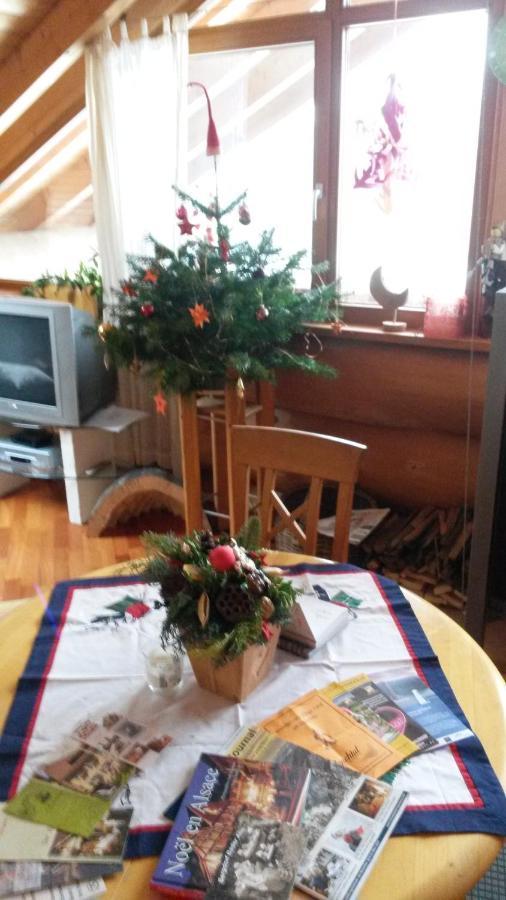 Blockhaus-Ferienwohnung Oppenau Dış mekan fotoğraf